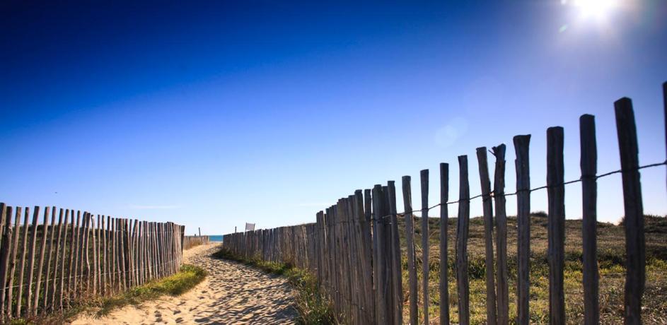 L'Escale Catalane, 50M De La Plage, 36M2, Parking Canet-en-Roussillon Exterior foto